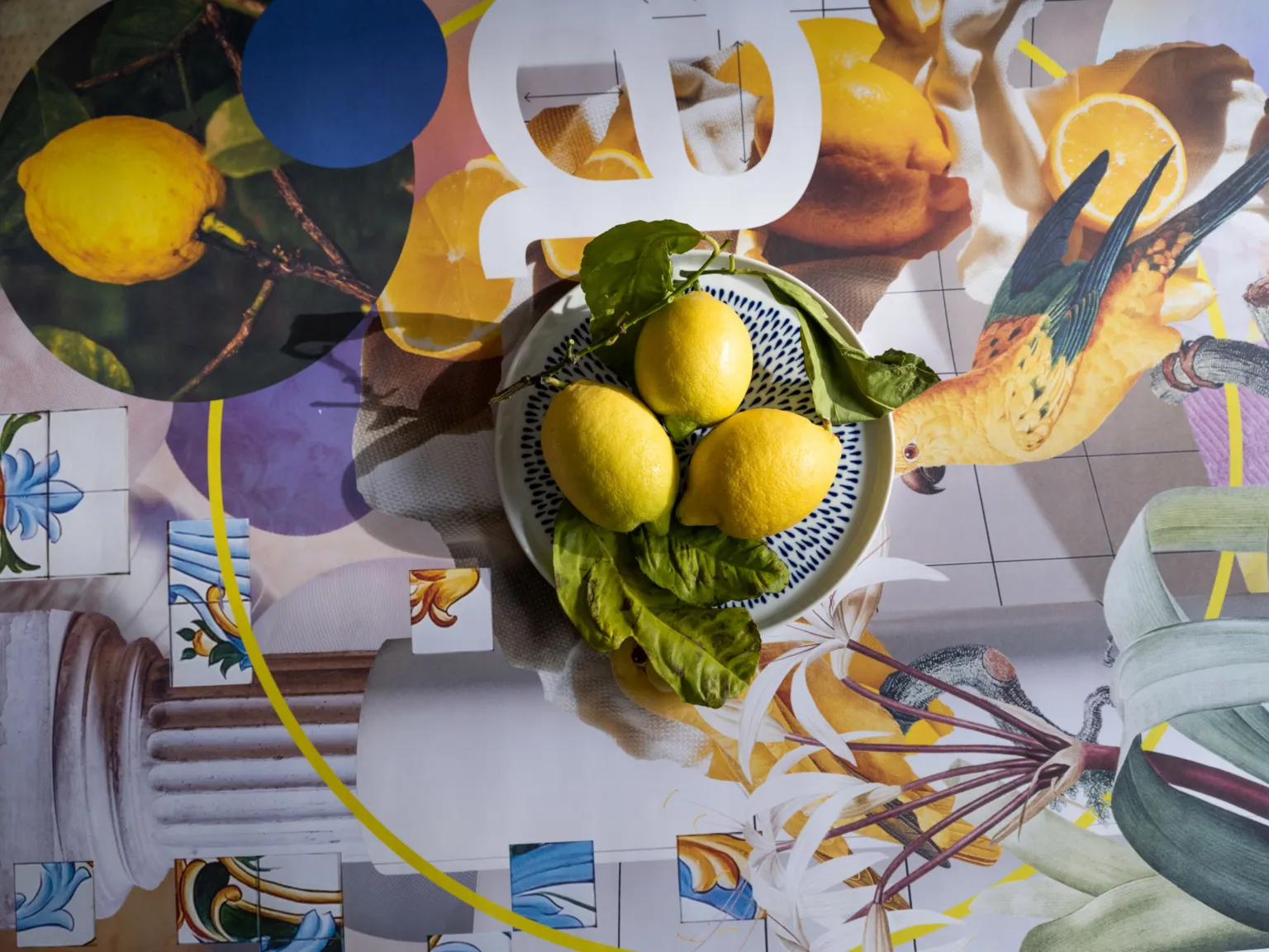 Manuela Menzi Studio